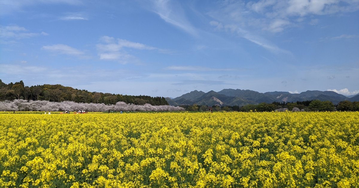 宮崎県西都市の地域観光情報サイト-西都ゆるなびの写真(宮崎県西都市)