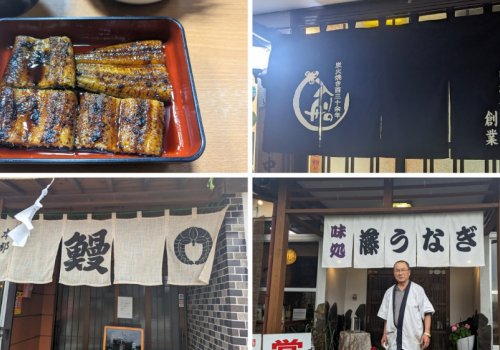 宮崎で有名なうなぎを食べるなら！西都市の人気老舗店3選
