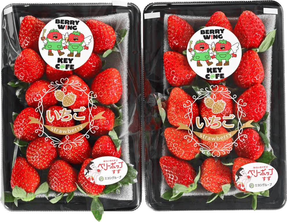 宮崎県西都市「KEY C@FE」店主インタビュー｜ゼロから挑んだ苺作りと