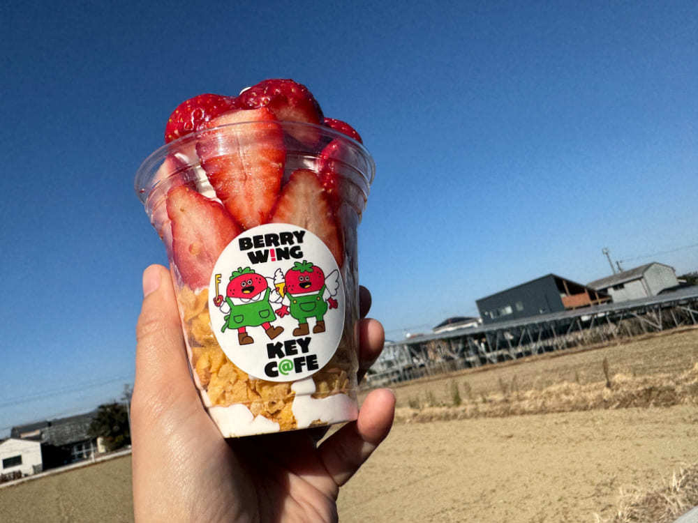 宮崎県西都市「KEY C@FE」店主インタビュー｜ゼロから挑んだ苺作りと